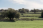 Sicily, the Iblei landscape 